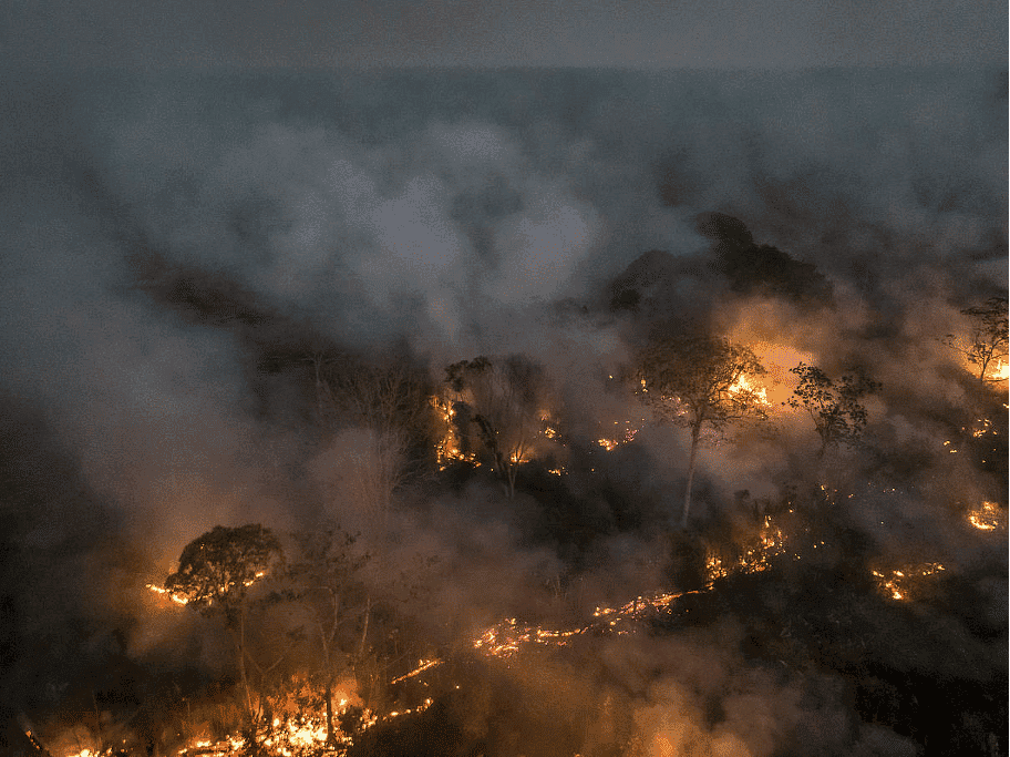 Waldbrand Brasilien.png